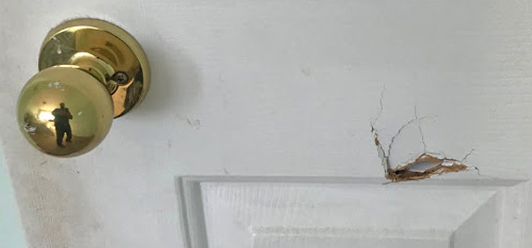 interior door hole repair Highland